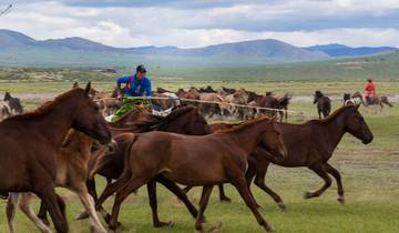 7 Days in Mongolia, incl. Ulaanbaatar and Orkhon Valley