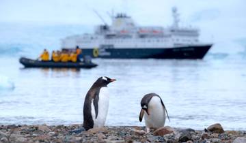 Best of Antarctica: Pristine Wilderness (Ocean Endeavour) Tour