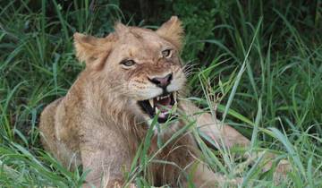 Forfait Cap, Route des Jardins et Addo - 9 jours