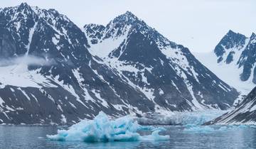 Expedición ártica en profundidad y safari en Oso Polar