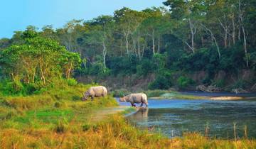 Jungle and Rainforest Safaris - Natural World Safaris