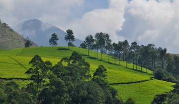 Tour of South India