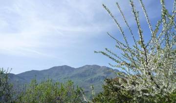 Sicile - Une véritable impression de la Sicile - Les Madonies (7 jours)