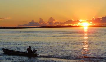 4 Tage im brasilianischen Amazonasgebiet: Juma River Jungle Lodge Rundreise