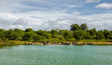 Klassieke rondreis Sri Lanka met strandvakantie aan de zuidwestkust of op de Maldiven - met baden op de Maldiven