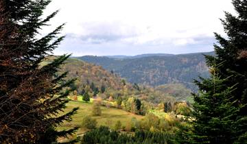 Pure Nature in the Northern Vosges - on the GR53 From Wissembourg to Saverne 8 Days