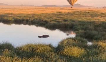 Nairobi to Victoria Falls 2026 - Explorer & Classic Tours