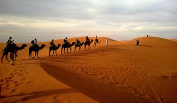 Tailor-Made Saudi Arabia Vacation with Daily Departure & Private Guide Tour