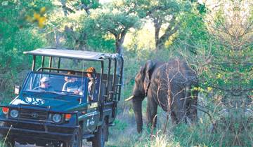 5 DAY - KRUGER SAFARI OVERLAND TOUR / ACCOMMODATED Tour