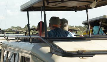 4 days in Serengeti seronera migration and Ngorongoro