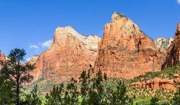 Hiking and Camping in Zion Tour