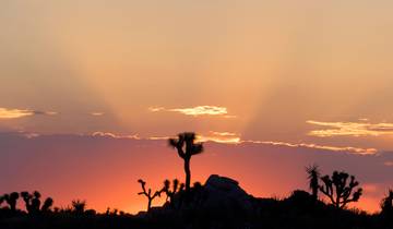 Hiking and Camping in Joshua Tree Tour