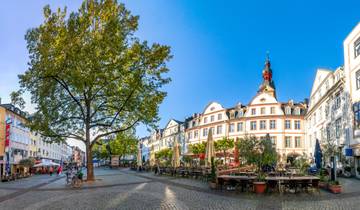 Active & Discovery on the Rhine with 2 Nights in Lucerne (Southbound) 2024 Tour