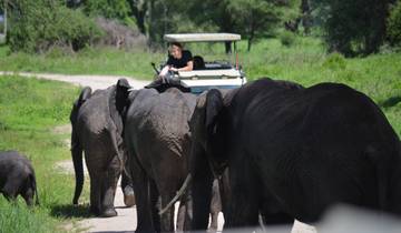 Ngorongoro Krater privater Tagesausflug