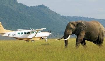 4 Days Maasai Mara Flying Safari Package Tour