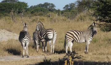 8 days Ultimate Victoria Falls, Chobe national park & Hwange