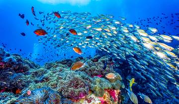 Vacances sur mesure aux Maldives à Thoddoo, départ quotidien et guide privé