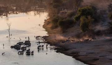 3-Day Okavango Delta & Boteti River Camping Safari Tour