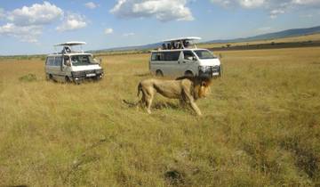 Tailor-Made Best Zimbabwe Safari Tour, Daily Departure & Private Trip Tour