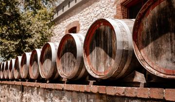 8 Days in Cyprus, incl. Larnaca and Paphos