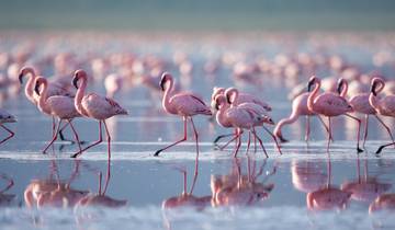 10 Day Kenya Safari Itinerary, incl. Nairobi and Maasai Mara