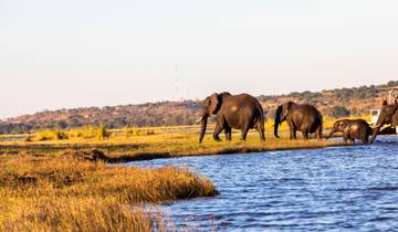 10 Day Kenya Safari Itinerary, incl. Nairobi and Maasai Mara