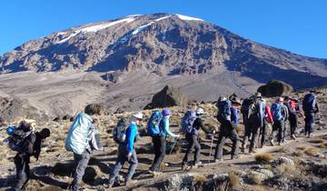 Climb Kilimanjaro Via Lemosho Route 8 Days Tour