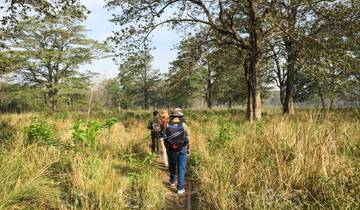 Safari por la selva de Bardiya 4 días