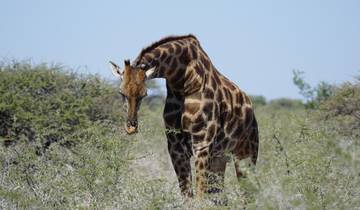 17 Day Namibia Itinerary, incl. Windhoek and Etosha National Park
