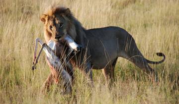 17 Day Namibia Itinerary, incl. Windhoek and Etosha National Park