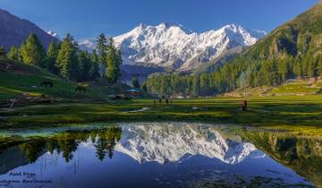 Fairy Meadows & Nanga Parbat BaseCamp Tour, Gilgit Baltistan - 2023 Tour