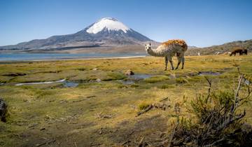 High Plateau Trek – Chile & s Atacama Tour