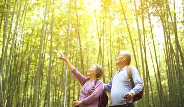 Independent Tokyo & Kyoto City Stays