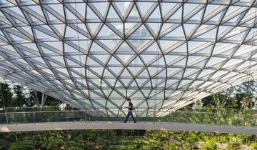 4 Days in Singapore, incl. Marina Bay and Gardens by the Bay