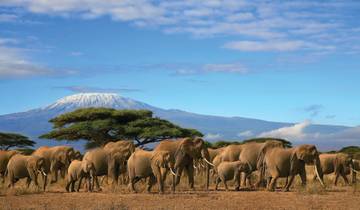 The Plains of Africa Kenya Wildlife Safari (Nairobi to Amboseli) (2023) Tour