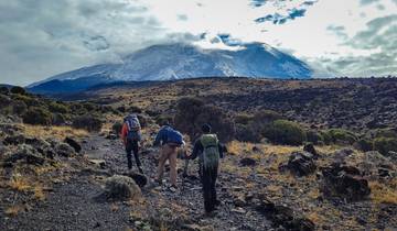 Circuit d\'une journée pour escalader le Mont Kilimandjaro (tous les hébergements et transports sont inclus) circuit