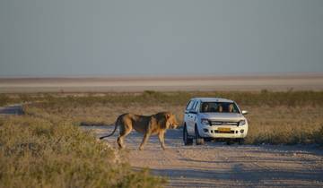 Tailor-Made Best Namibia Tours, Private Trip Tour