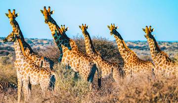 Meilleur circuit sur mesure en Namibie pour les familles avec safari, voiture privée