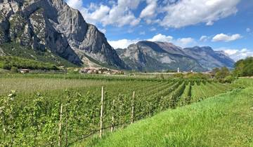 7 Days Lake Garda Cycling, incl. Desenzano and Salò