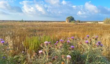 8 Day Algarve Itinerary, incl. Sagres and Tavira