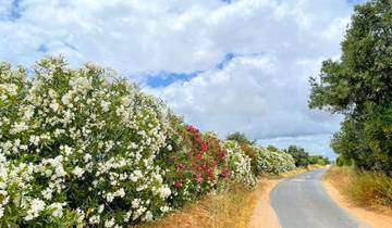 8 Day Algarve Itinerary, incl. Sagres and Tavira