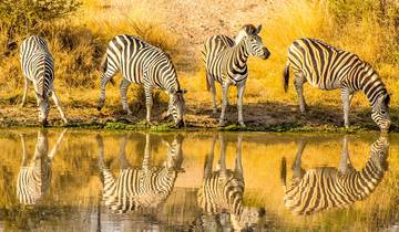 Tailor-Made Kafue Wildlife Safari in Zambia, Daily Departure & Private Trip