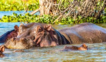 7 Days in Zambia Safari, incl. Lusaka and Kafue National Park