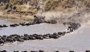 5 Dagen grote migratie safari Serengeti luxe (alle accommodatie en vervoer zijn inbegrepen)-rondreis