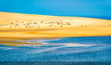 Tailor-Made Private Qatar Tour with Desert Safari, Daily Departure