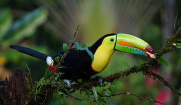 Tailor-Made Best Costa Rica Tour with Daily Departure Tour