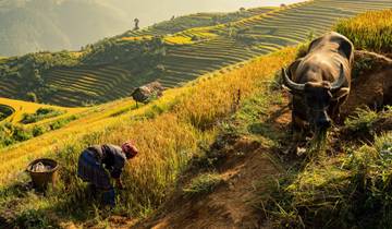 Ultimate 13-Day Vietnam Tour Experience Tour