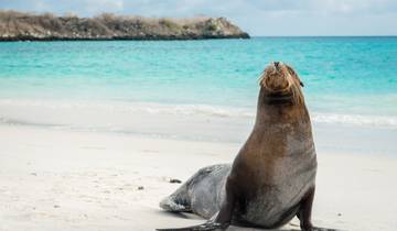 Circuito Ecuador y las islas Galápagos