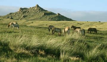 3 Day Mongolia Itinerary, incl. Kharkhorin and Hustai National Park