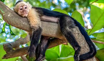 7 Day Panama Itinerary, incl. Panama City and Pearl Islands